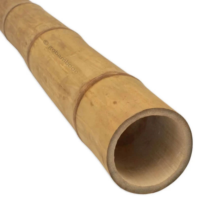 Bambuszrúd Guadua Ø 11-13 cm