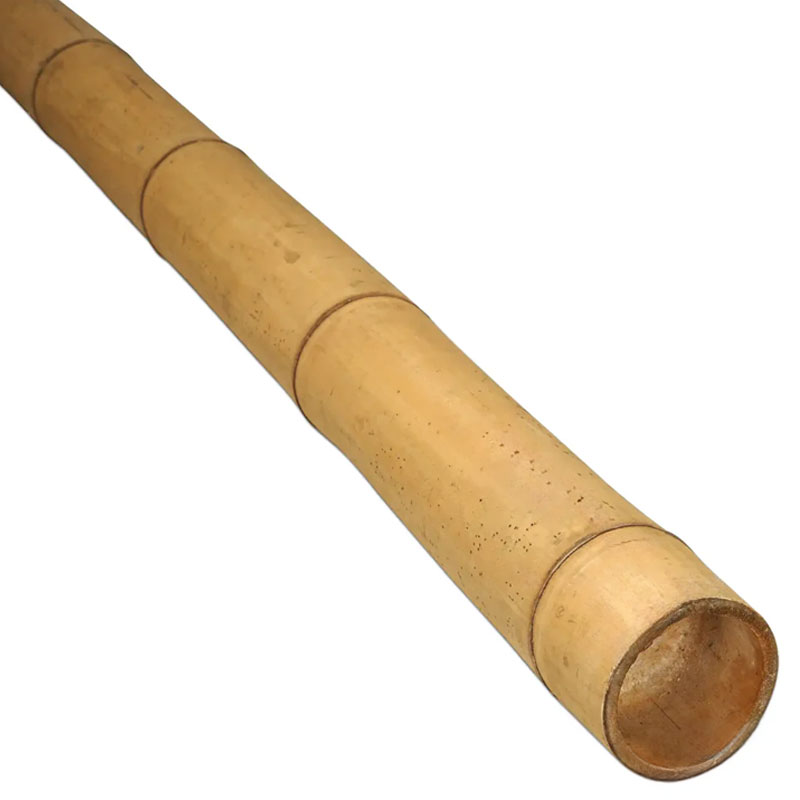 Bambuszrúd Guadua Ø 7-9 cm